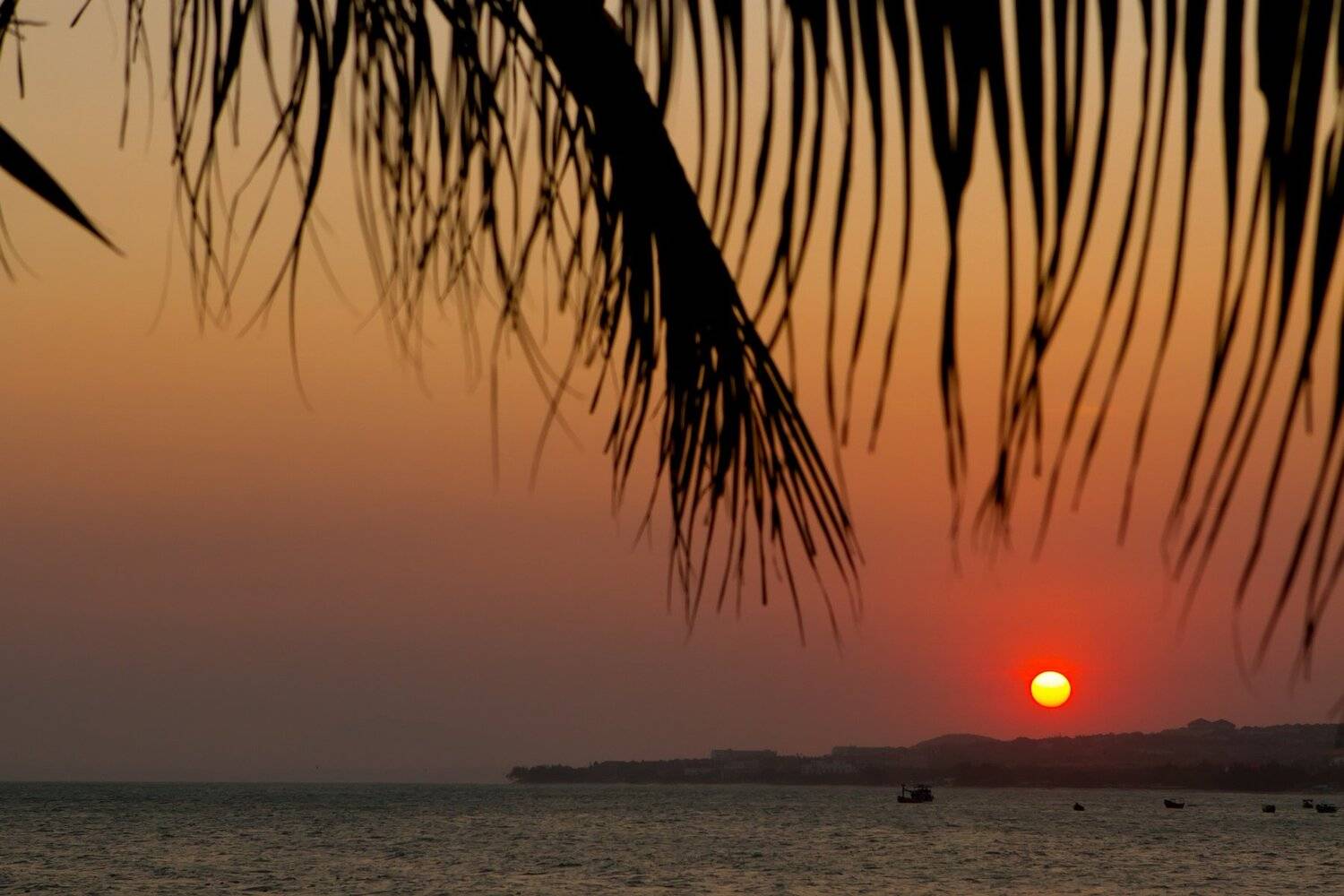 , Даша Горбунова