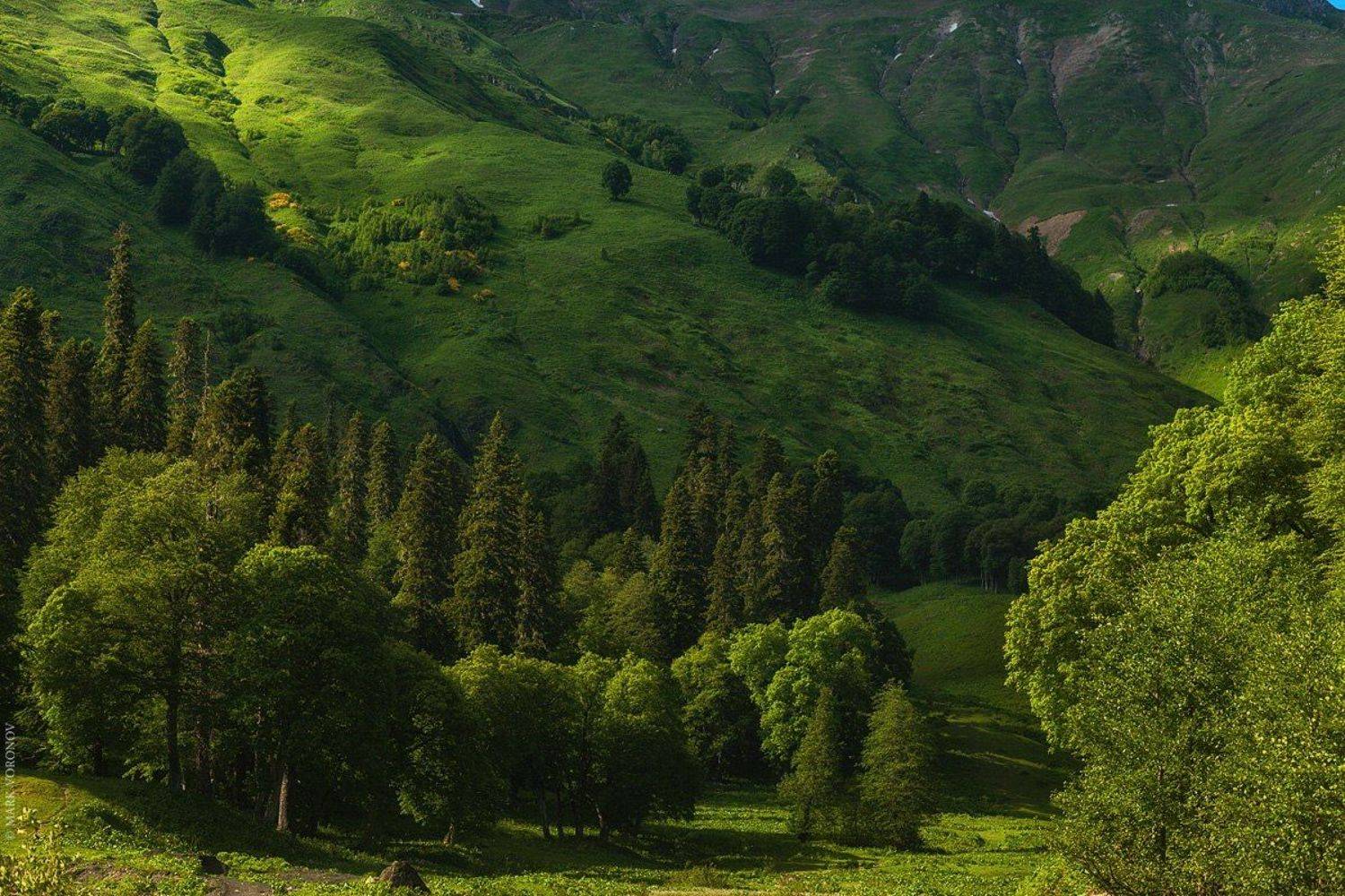 Альпийские луга Абхазия горы свет, Марк