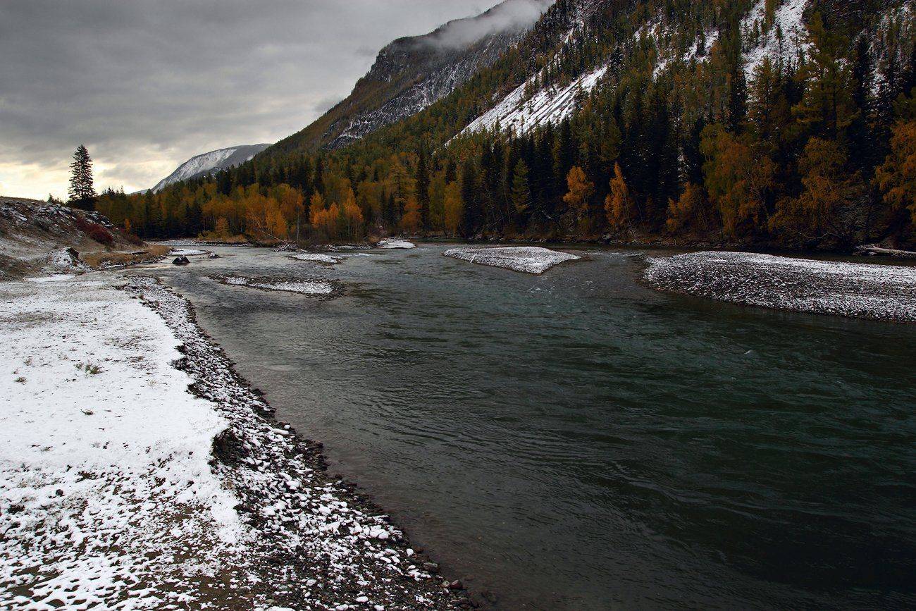 , Дмитрий Д.