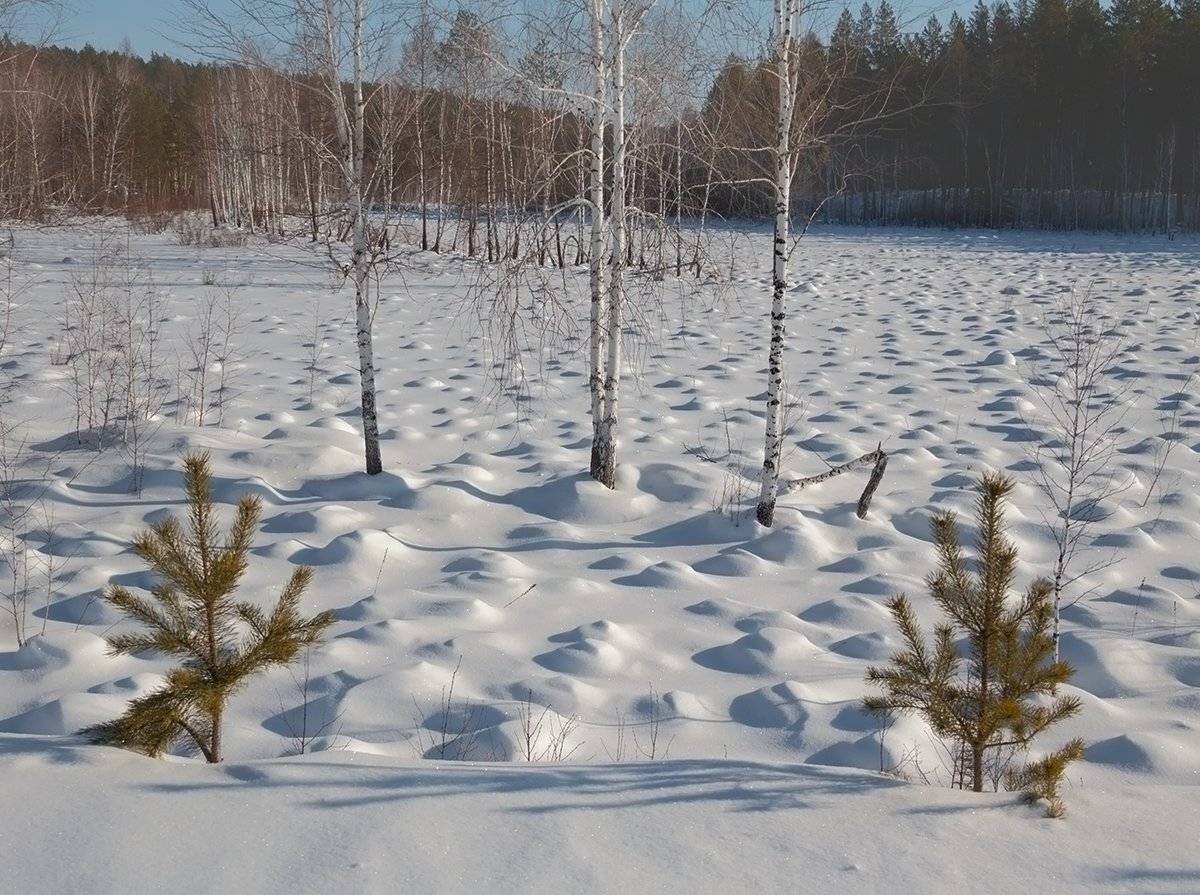 , Николай Морский