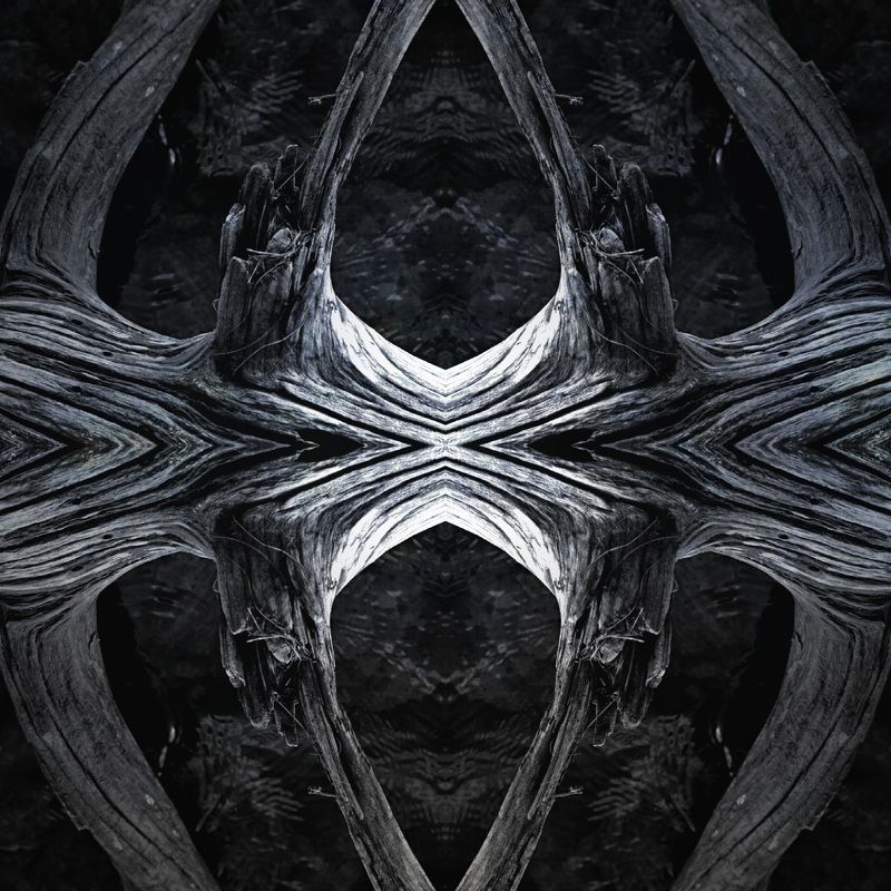 природа 4 мира фото превью