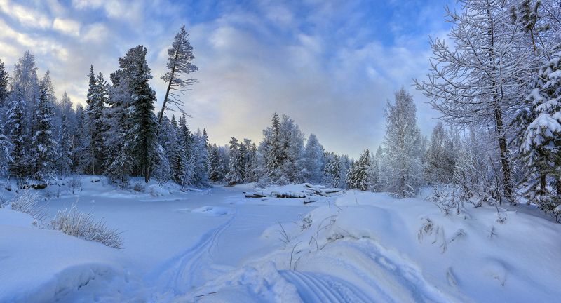 Зима, Снег, Югра Снегоходный путь фото превью