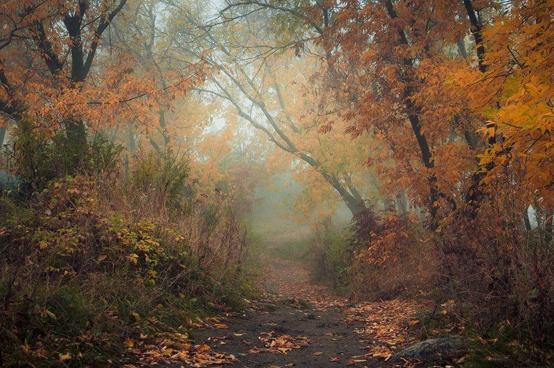Дыхание осени фото превью