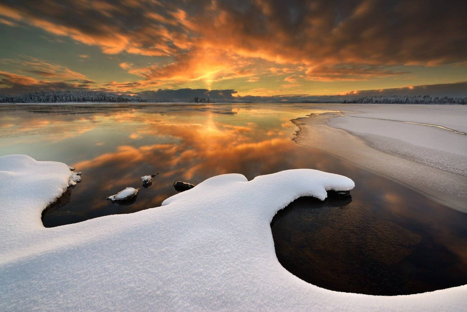 , Максим Евдокимов ( www.wildphotorus.ru )