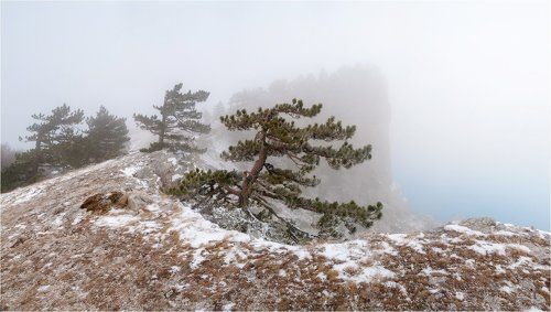 Туманы Ай-Петри