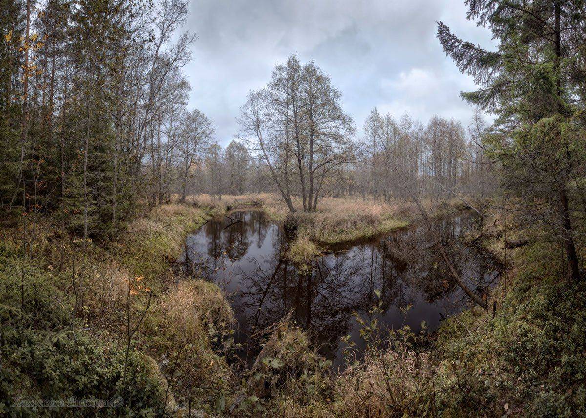 , Хохряков Николай