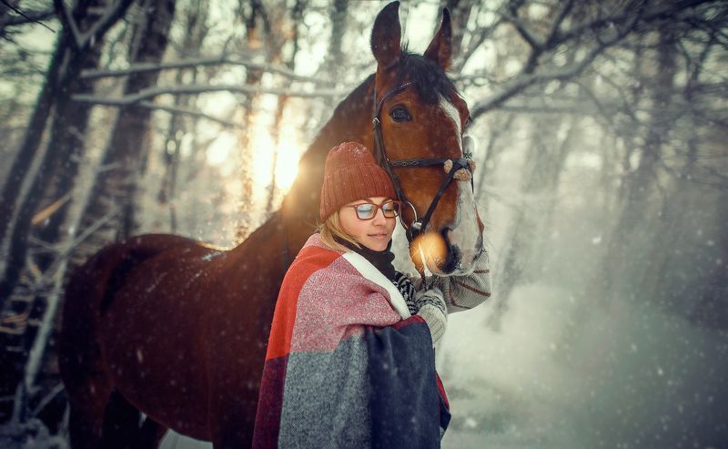 #portrait #winter #snow #russia #moscow #horse  Peace фото превью
