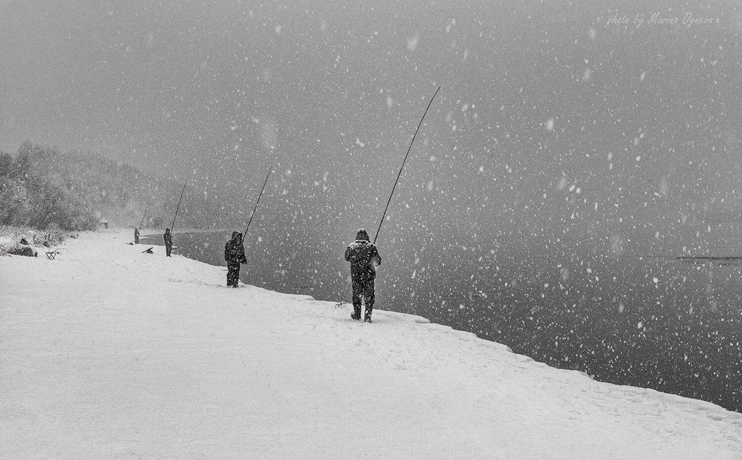 , Марина Огнева