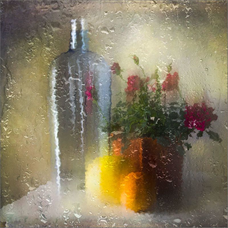 цитрусы и роза фото превью