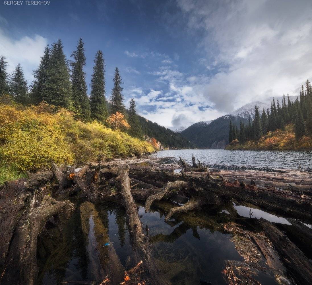 , Сергей Терехов