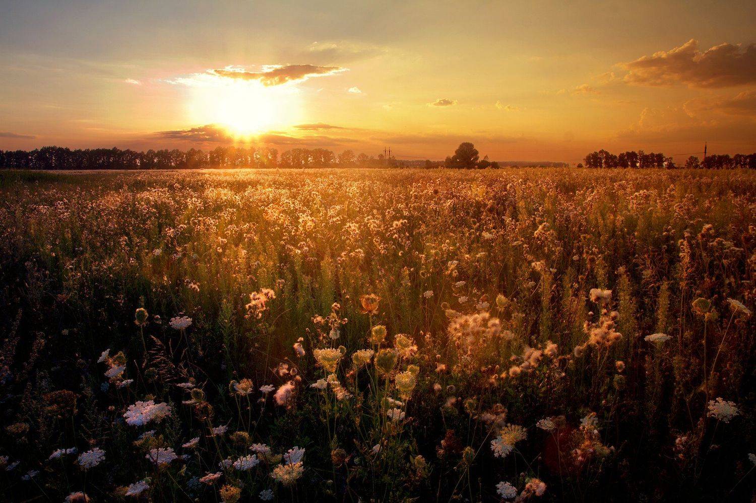 , Оксана Колиева