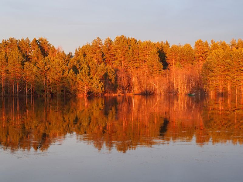 Весна фото превью