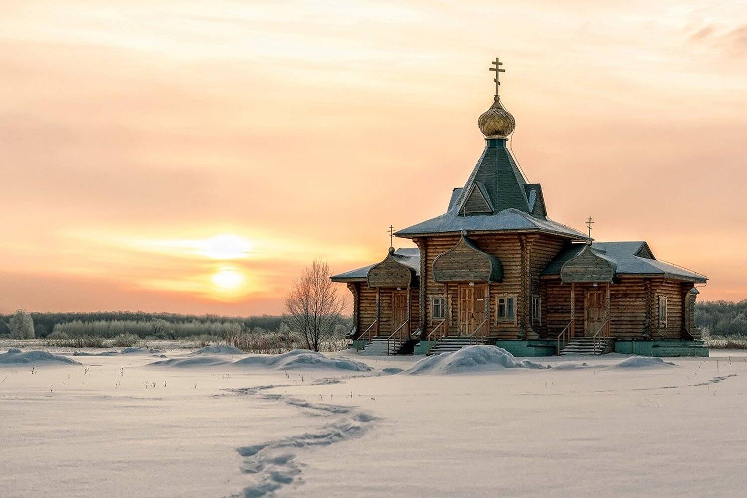 , Алексей Асосков