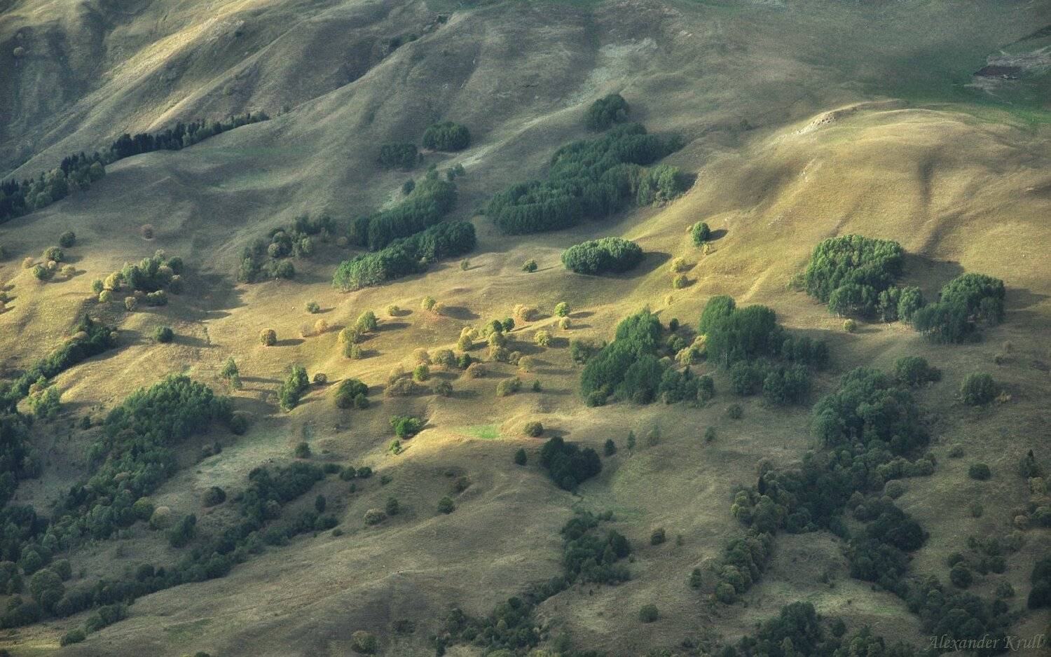 , Александр Круль