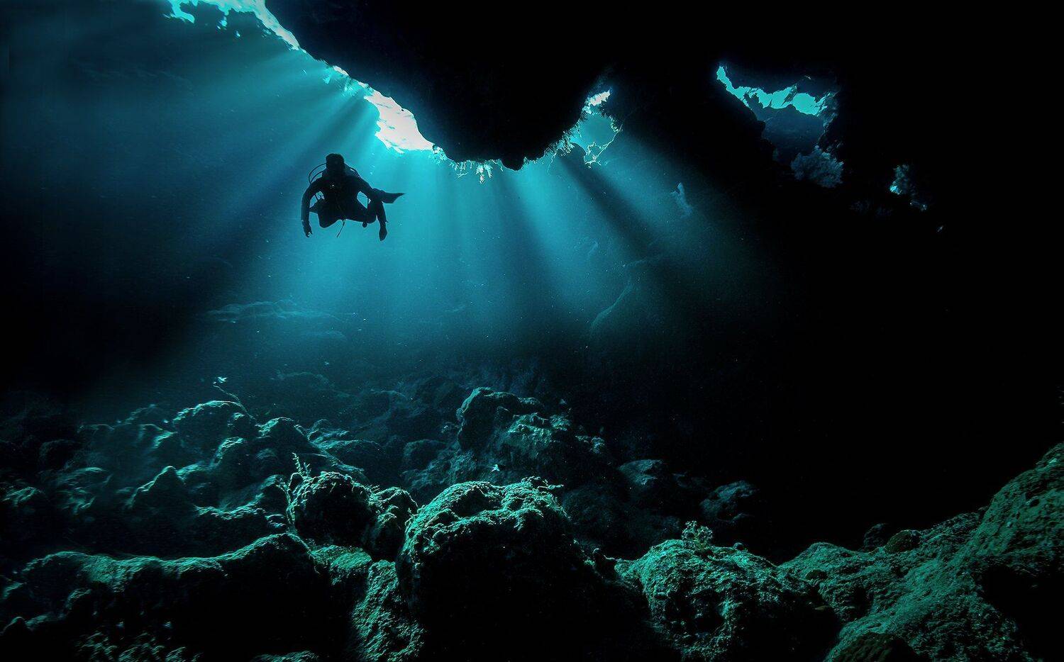 дайвинг, красное море, риф, Дмитрий