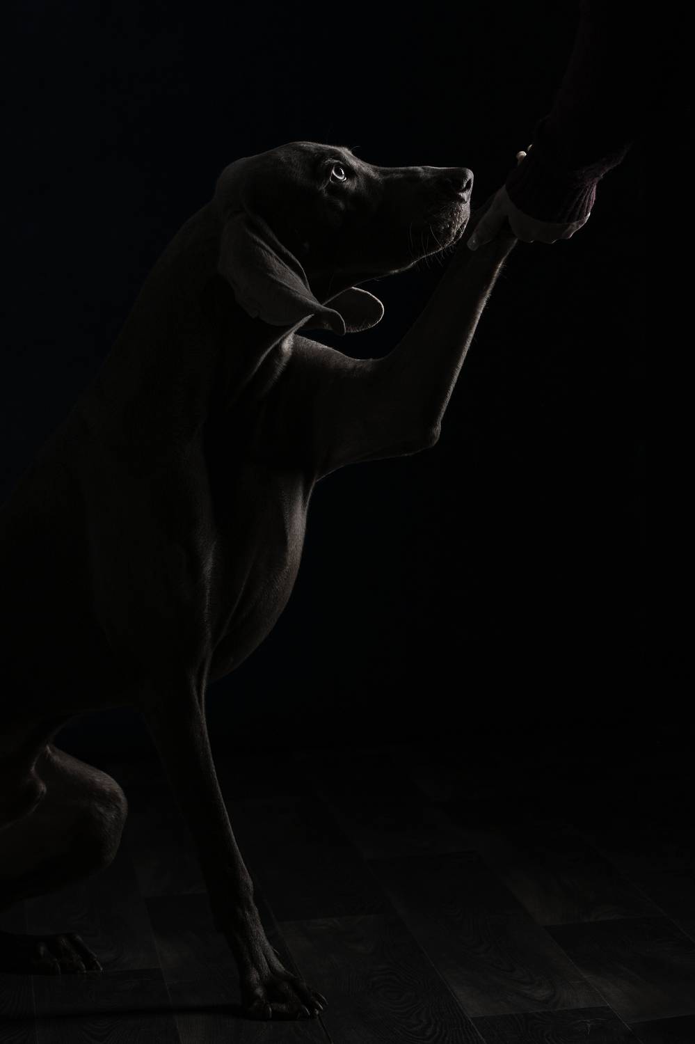 , Зубкова Юлия