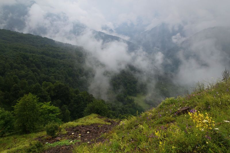 Кавказ. фото превью