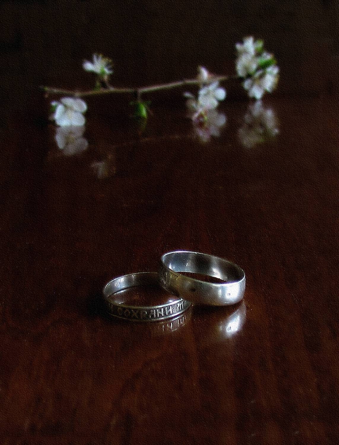 , Савоцкий Роман