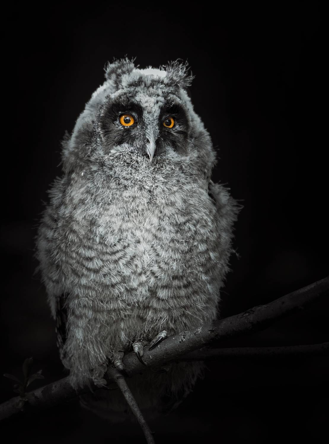 , Фото Александр