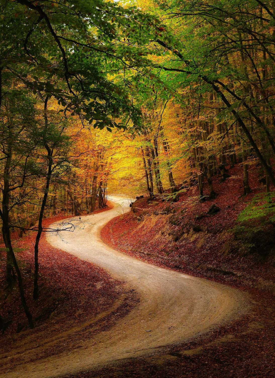 крым, Пермяков Михаил