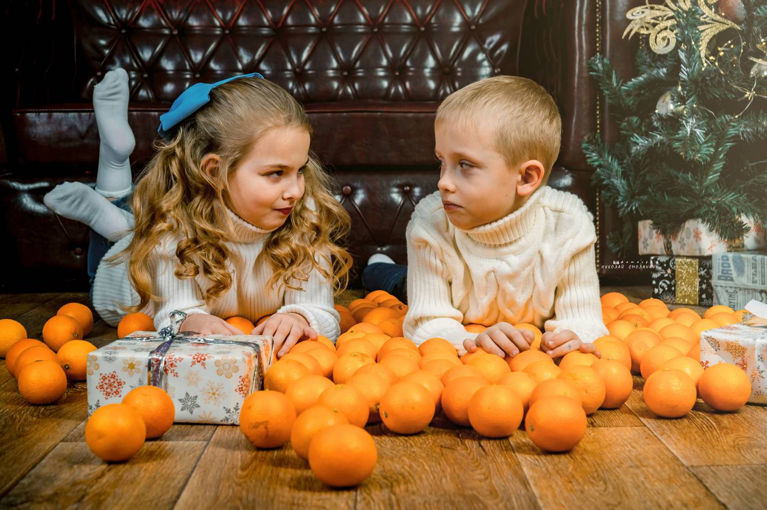 , Николай Смолянкин