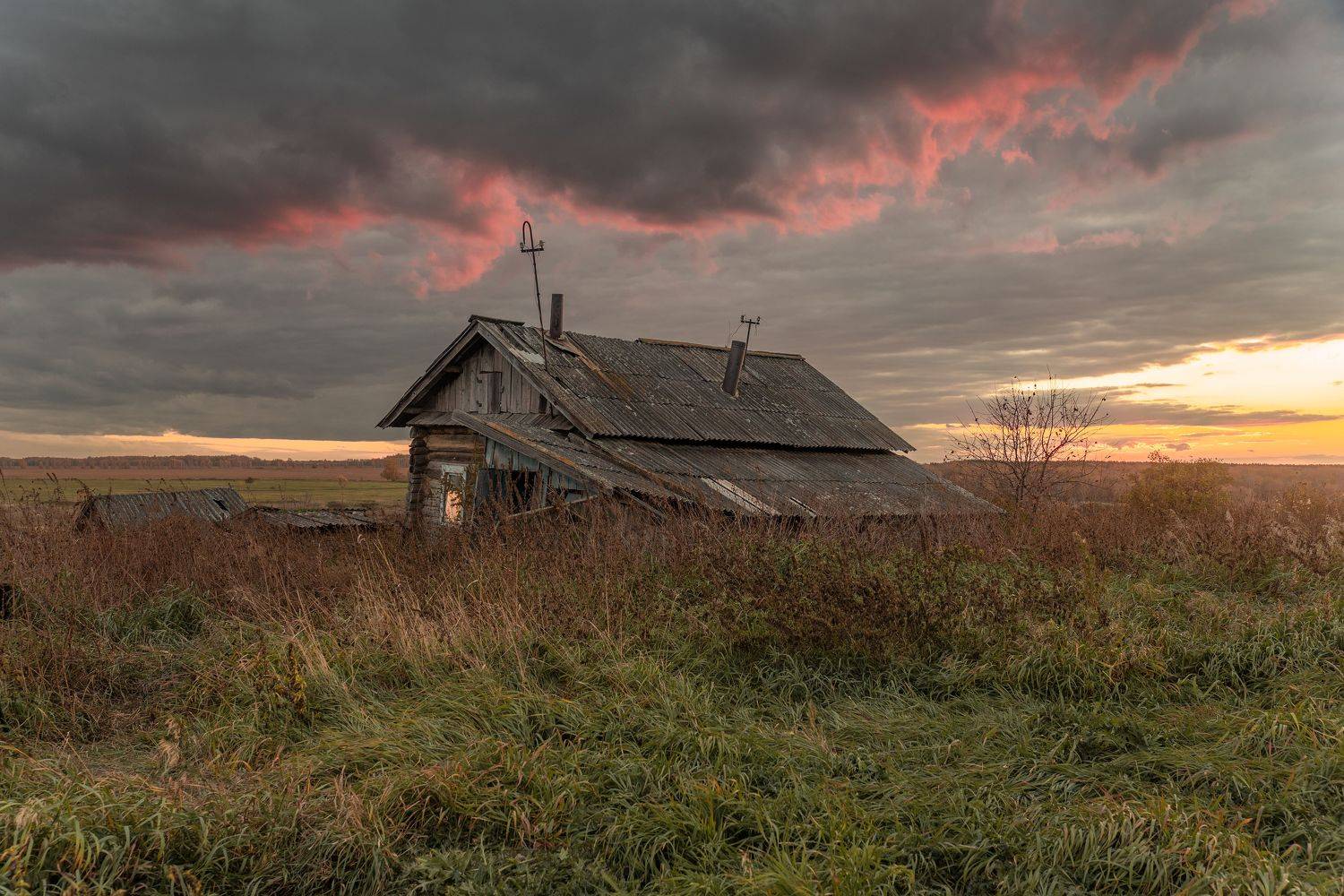 , Карамышева Дарья