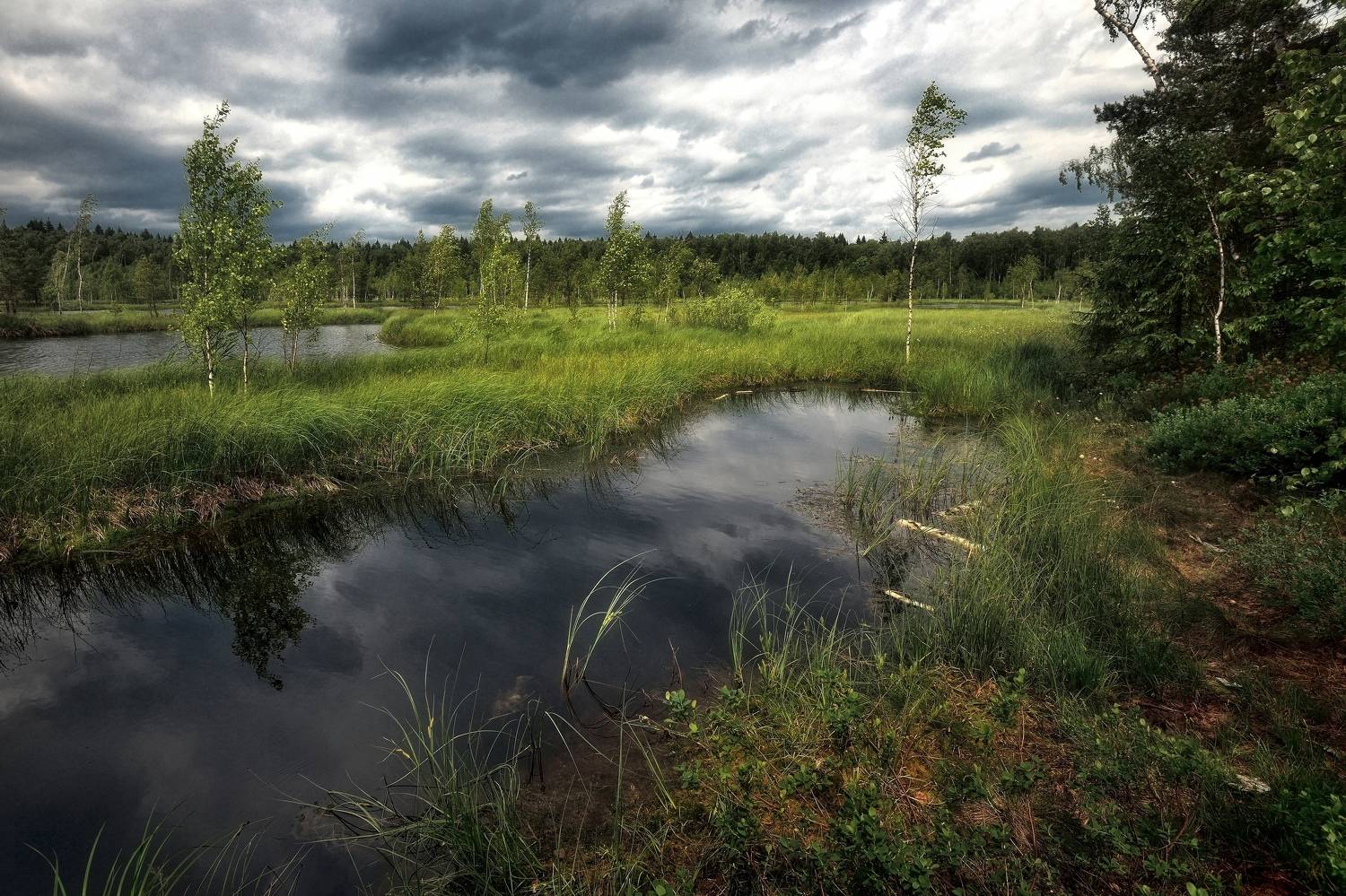 , Алексей Никонов