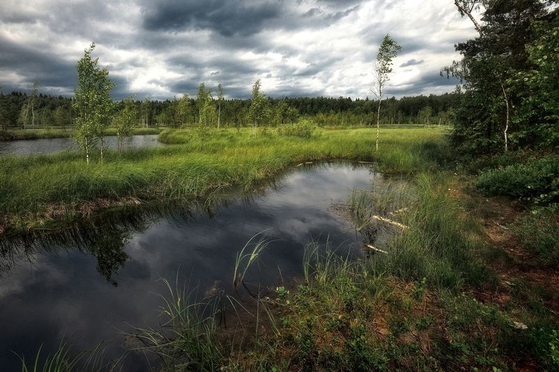 Болото фото превью