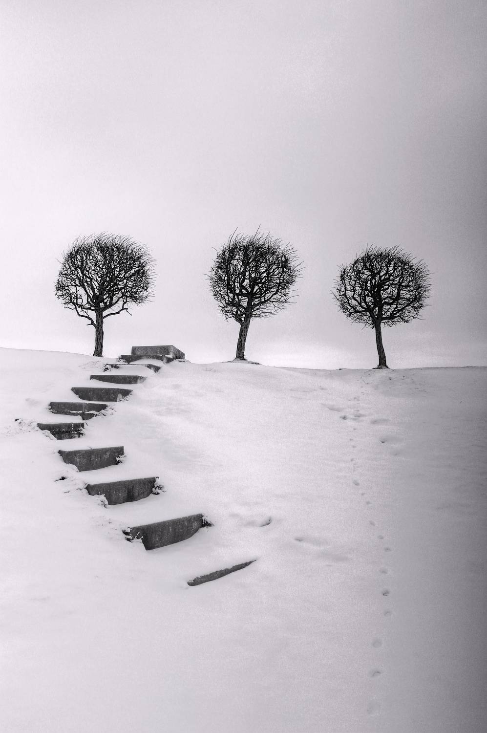 , Сергей Григорьев