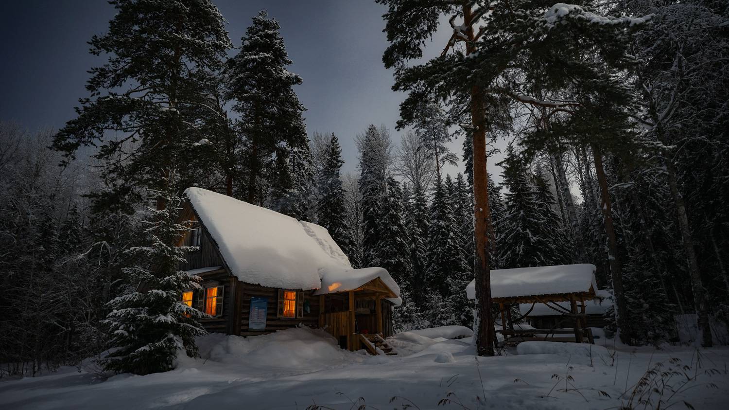 , Алексей Глухов