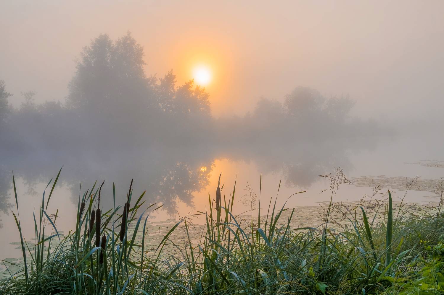 лето озеро туман рассвет природа пейзаж, Александр Строков