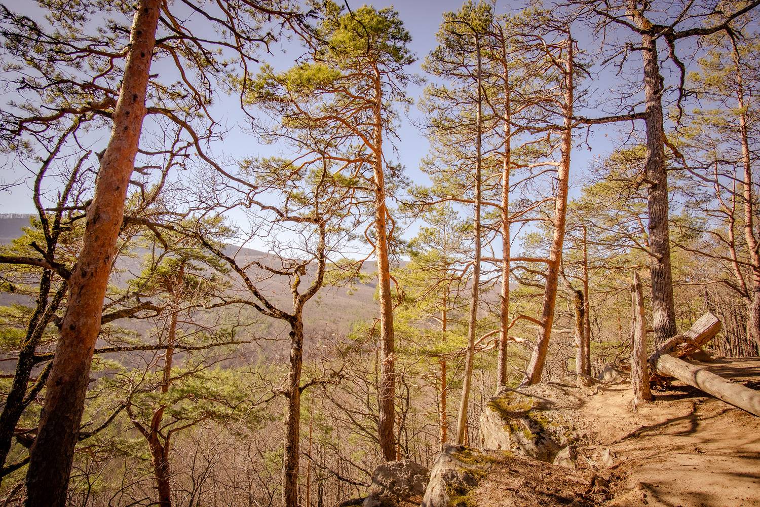 , Вадим Коваленко