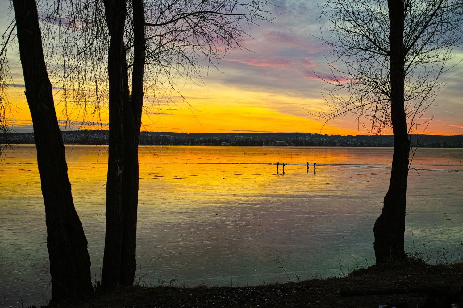 , Лофицкая Лариса