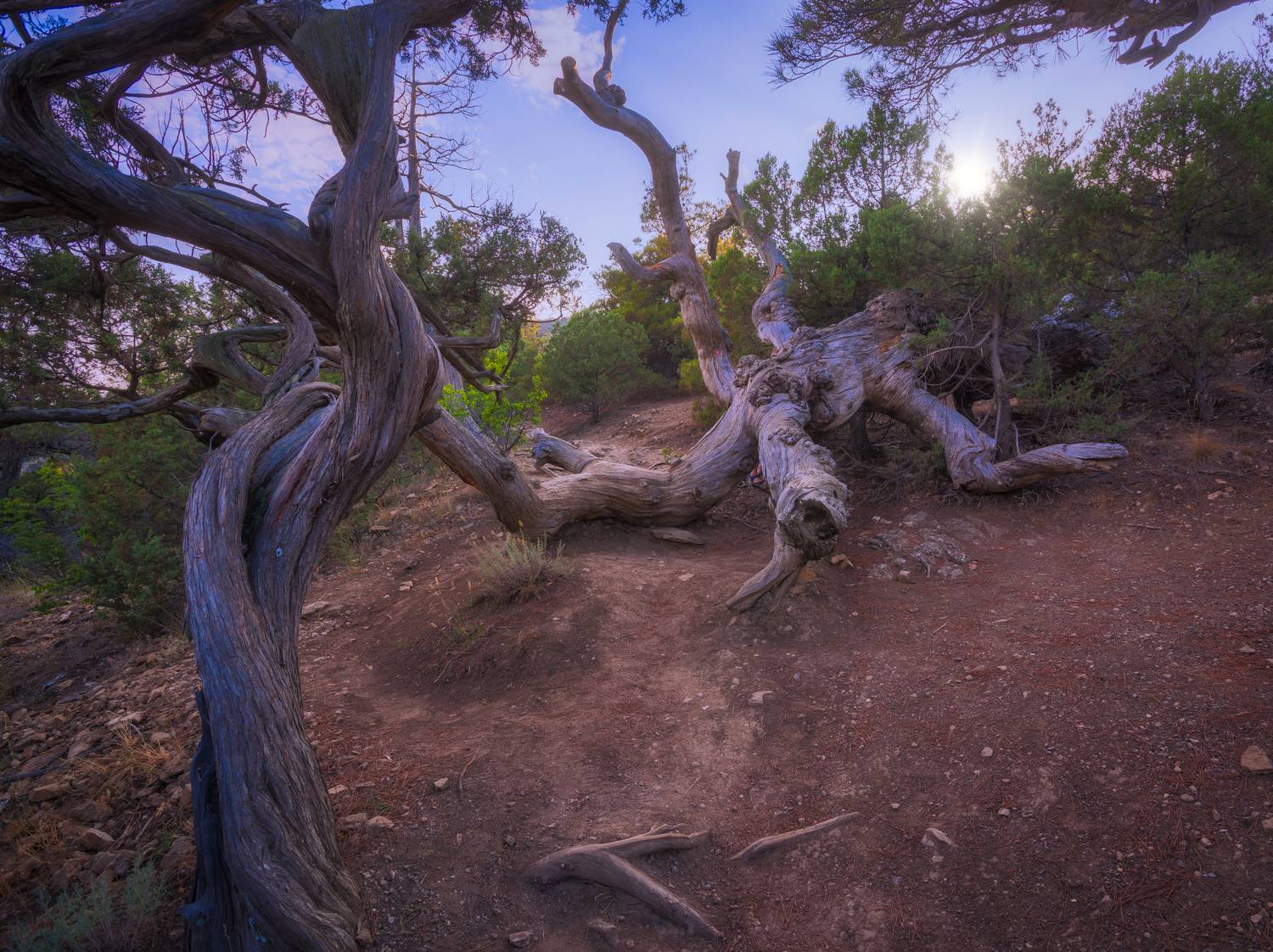 , Аседач Александр