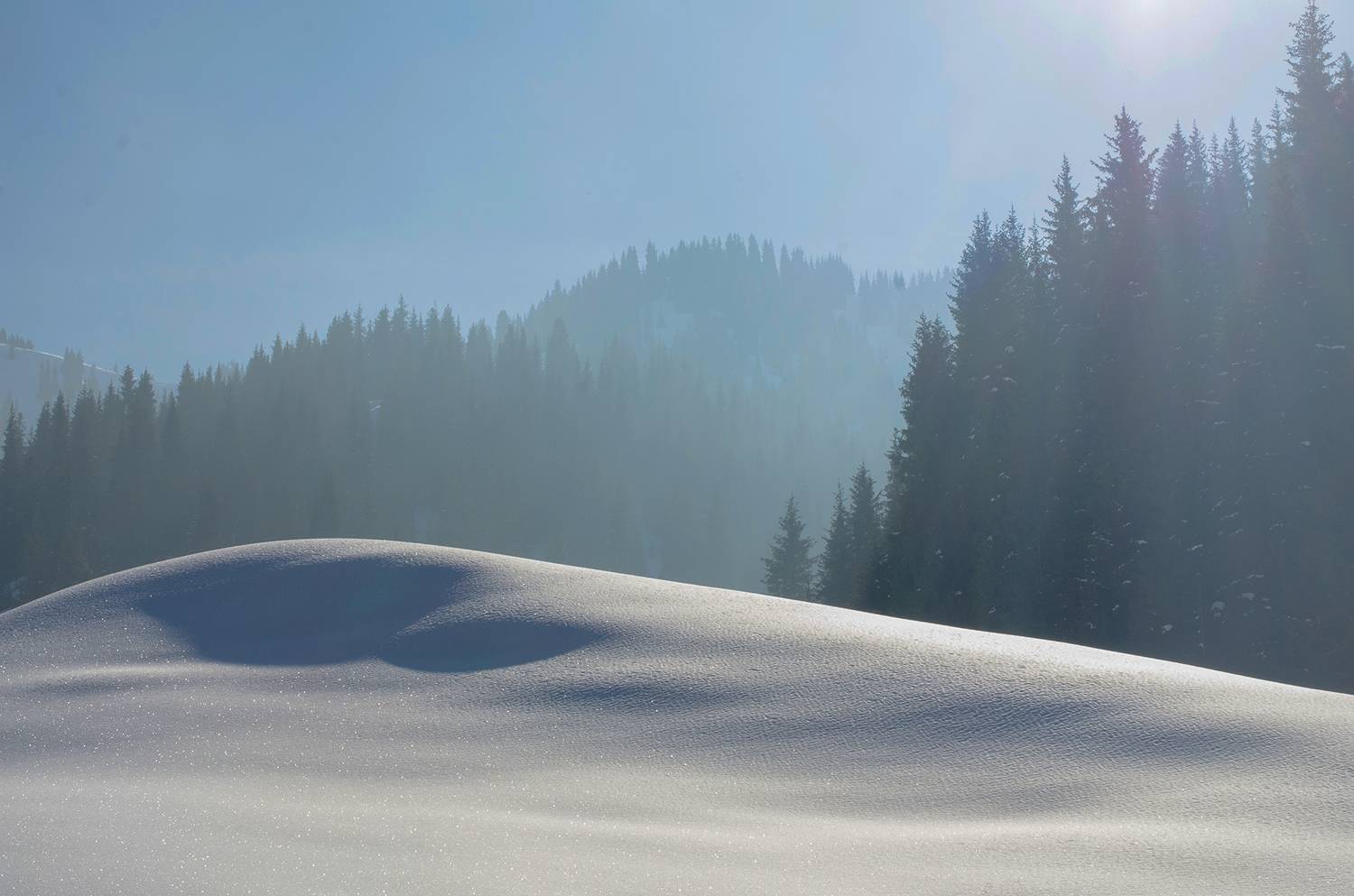 , Евгений Зинов