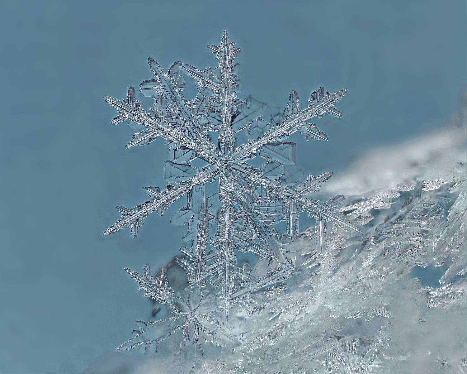 , Кузнецов Дмитрий