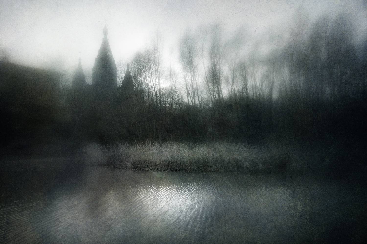 пейзаж, чб, Сергей Кот