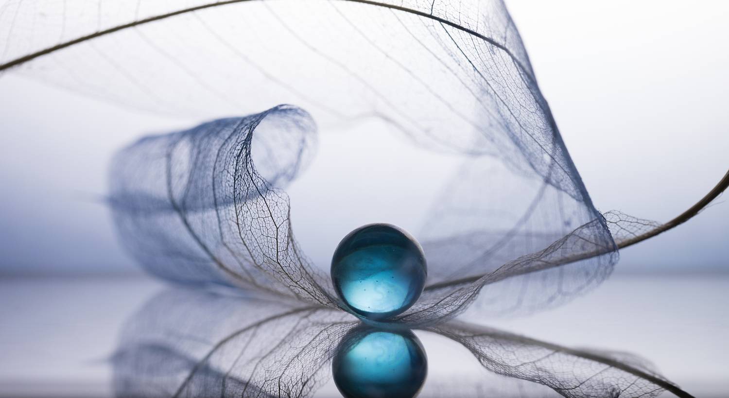 макро, macro, Обидина Мария