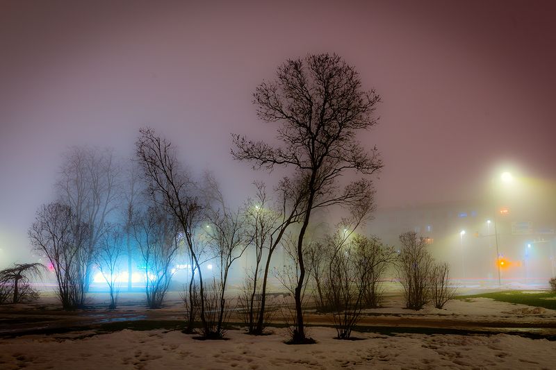 нарва ночь деревья танцы туман январь Ночные танцы в Нарве фото превью