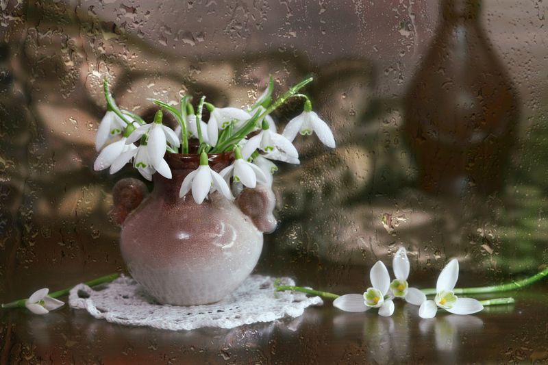 цветы, подснежники, ваза, салфетка, капли Январские подснежники фото превью