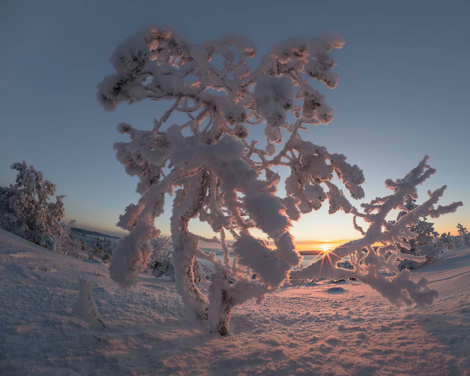 , Бушков Евгений