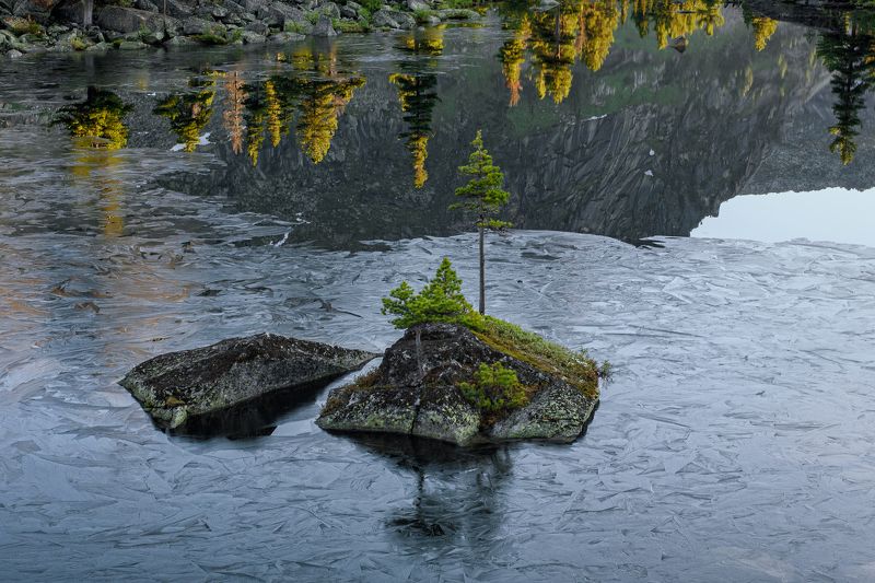 в плену узоров фото превью