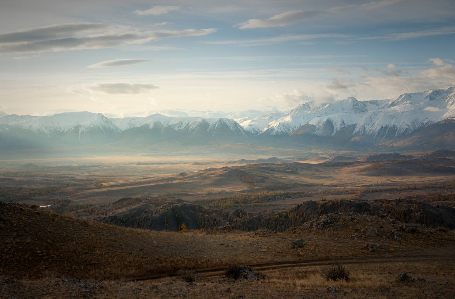 Курайская степь; Горный Алтай, Рустем Диков