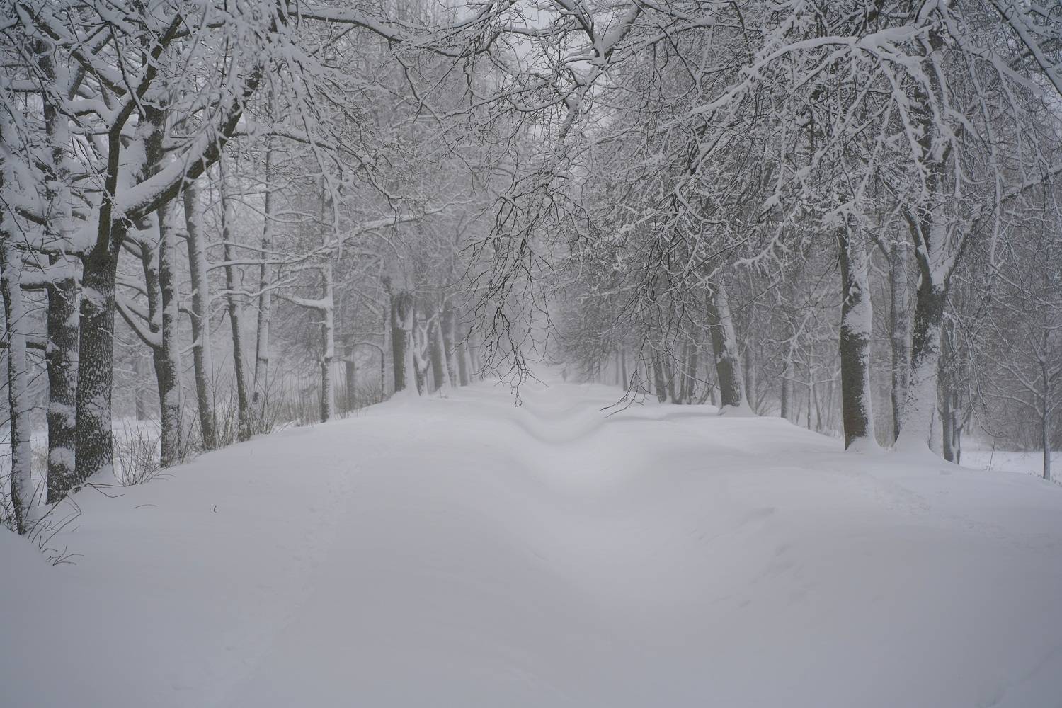 ,  Сергей Андреевич