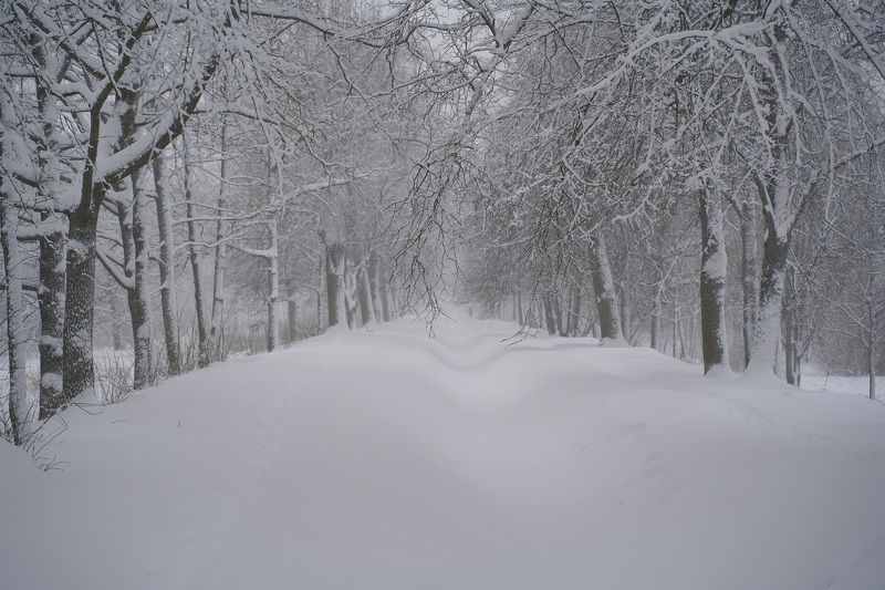Winter фото превью