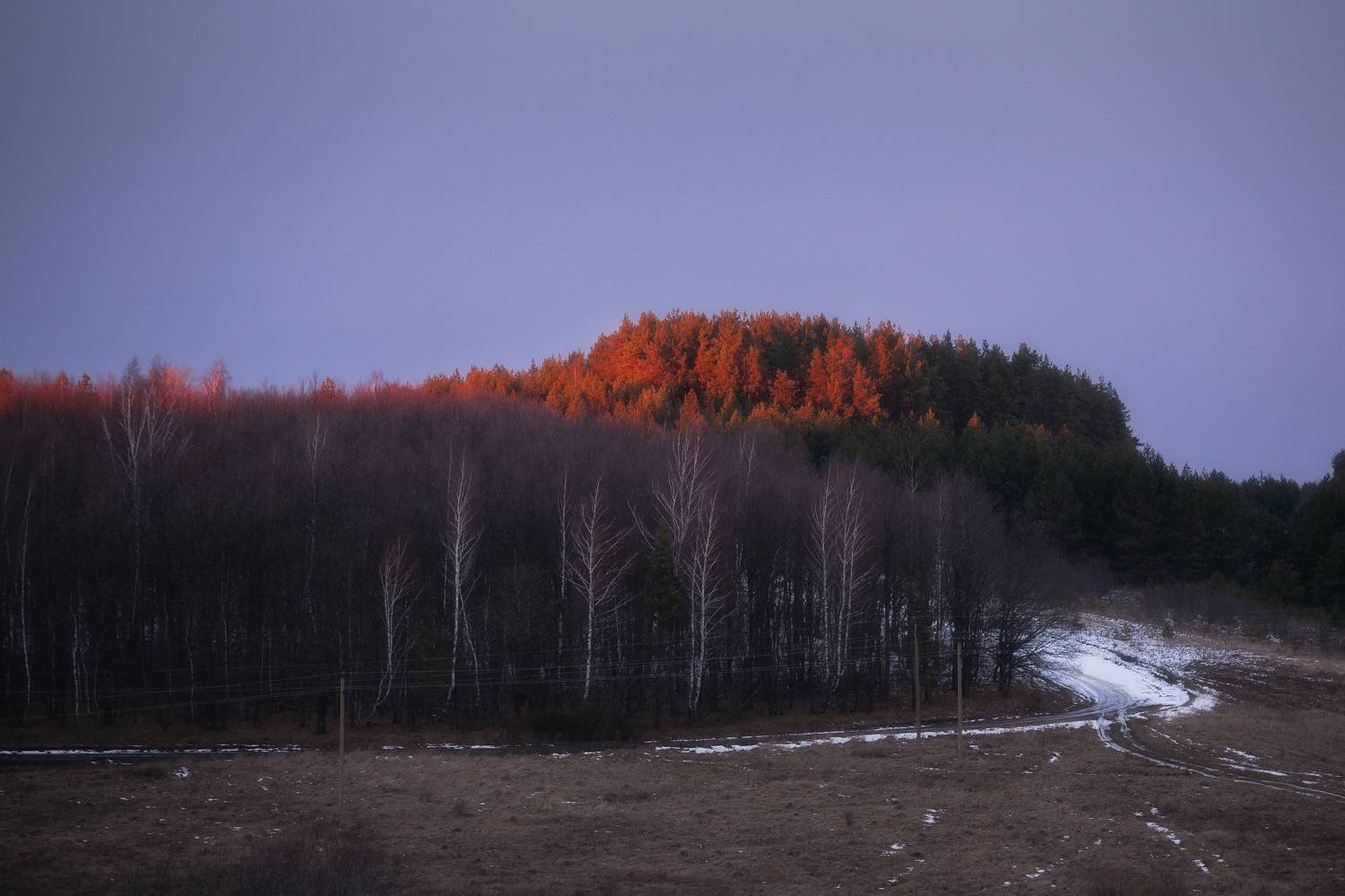природа, закат, зима, пейзаж, Тульская область, зимний пейзаж, теплая зима, Мартыненко Дмитрий