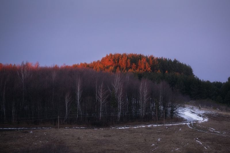 природа, закат, зима, пейзаж, Тульская область, зимний пейзаж, теплая зима На закате фото превью