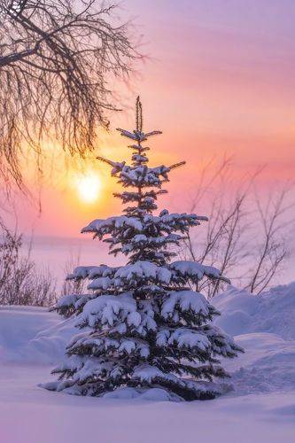 Зимнее утро