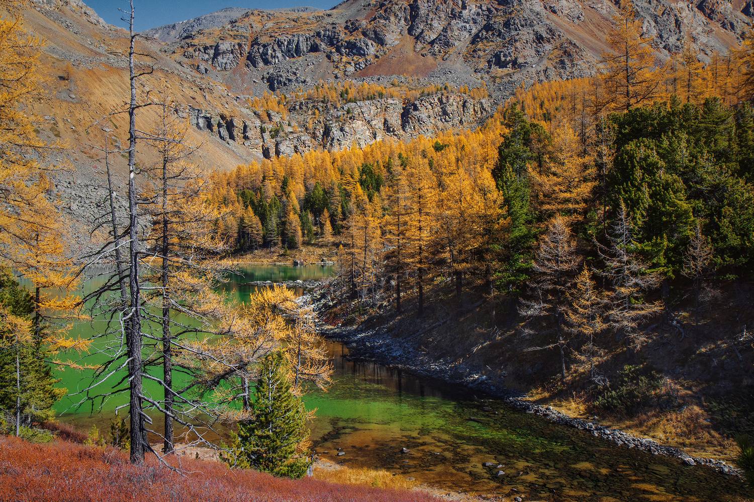 , Морозов Сергей