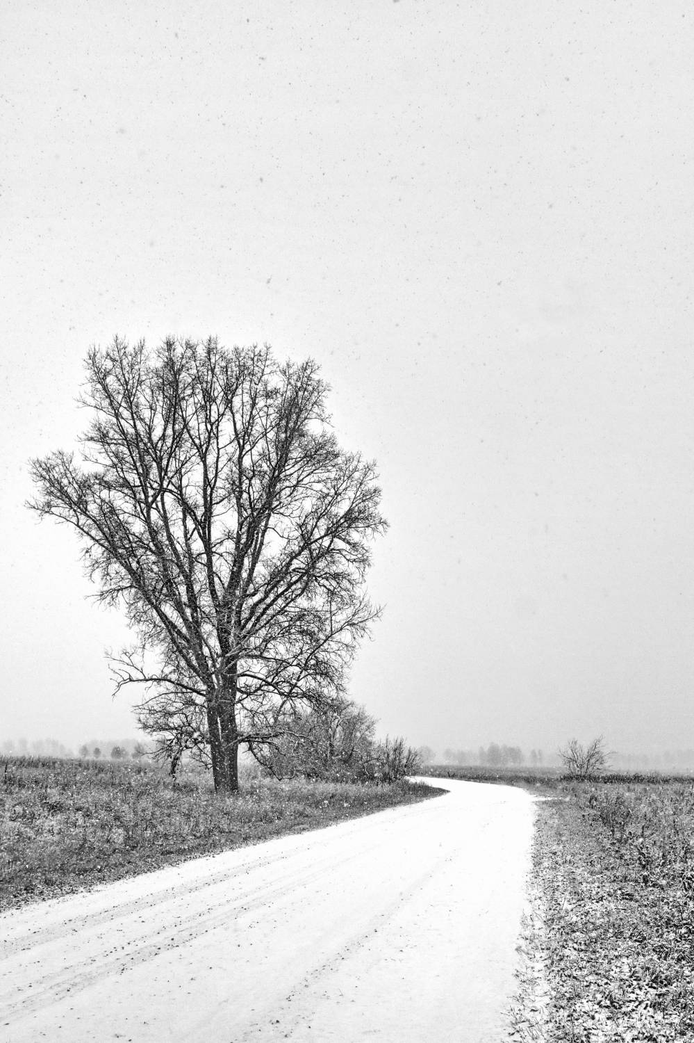 , Гагик Мхитарян